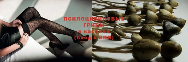 шишки Алексеевка