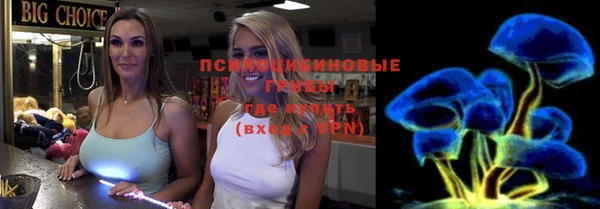 прущая мука Абаза