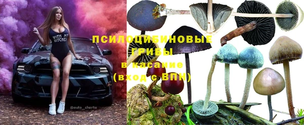 бошки Абдулино