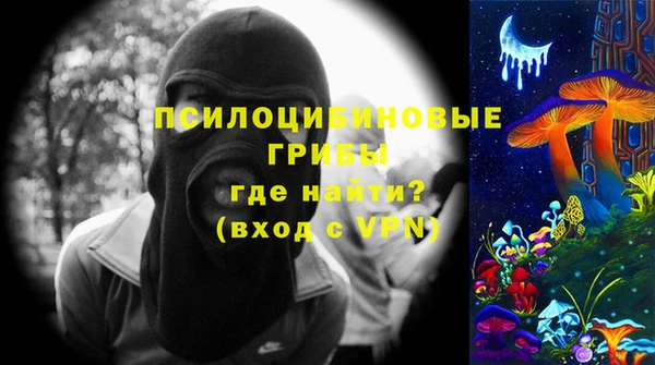 ГАЛЛЮЦИНОГЕННЫЕ ГРИБЫ Абинск